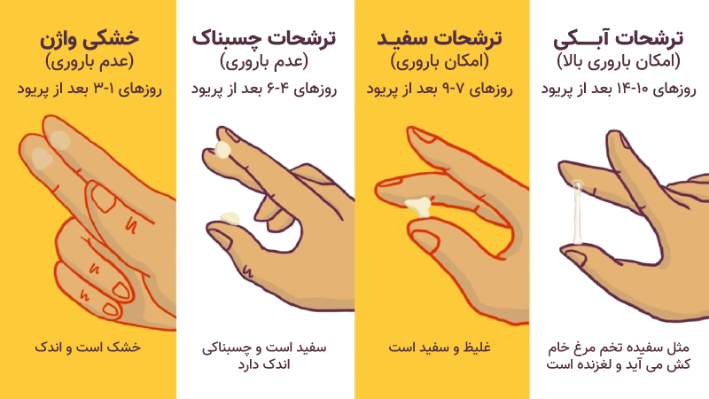 تغییر در ترشحات از نشانه های تخمک گذاری است